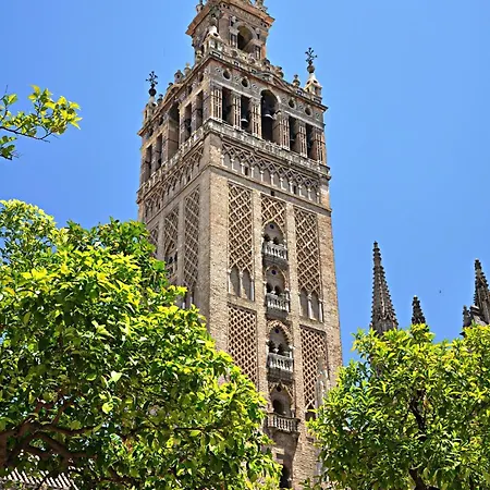 Candelaria Sevilla Aljarafe *